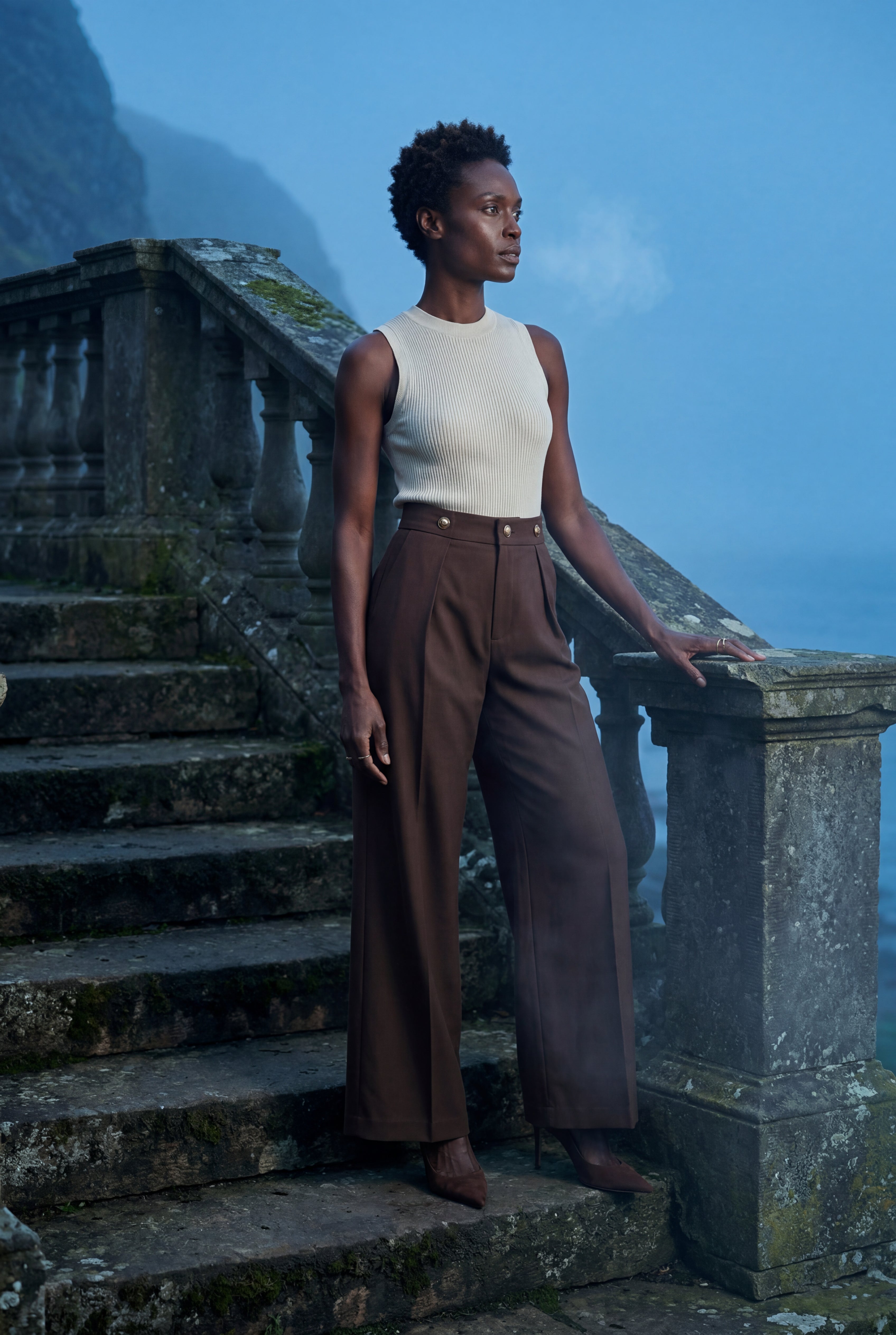 Lia | Gold Button Wide-leg High-waisted Trousers Brown
