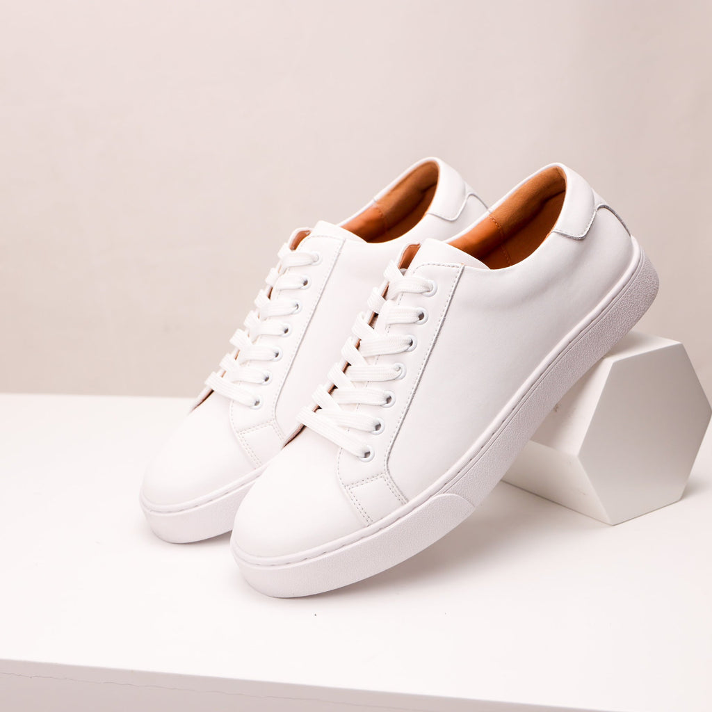 Liam | Low Top Minimalist Sneakers with Padded Collar